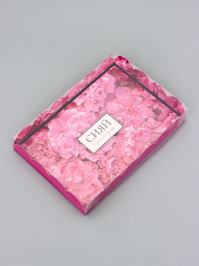 Коробка для печенья, «Сияй», 22×15×3 см