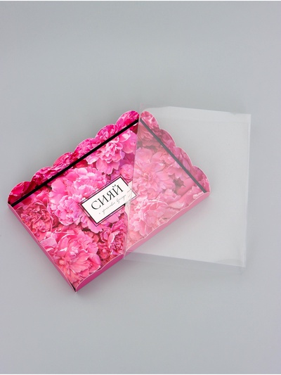 Коробка для печенья, «Сияй», 22×15×3 см