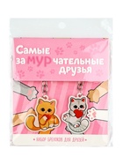 Брелоки парные «Замурчательные друзья», 11×17.5 см - Фото 6
