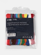 Нитки мулине TEIRA «Сочный», 8±1 м, 12 шт., разноцветные - Фото 6