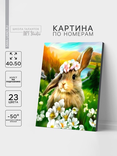 УЦЕНКА Картина по номерам на холсте с подрамником «Заяц» 40×50 см