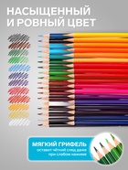 Карандаши 36 цветов, трехгранные, деревянные «Морские обитатели», в металлическом тубусе - Фото 3
