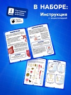 Набор для опытов по анатомии «Строение тела», светится в темноте, с мягкими органами - Фото 3