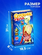 Набор для опытов по анатомии «Строение тела», светится в темноте, с мягкими органами - Фото 4