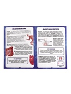 Набор для опытов по анатомии «Строение тела», светится в темноте, с мягкими органами - Фото 8