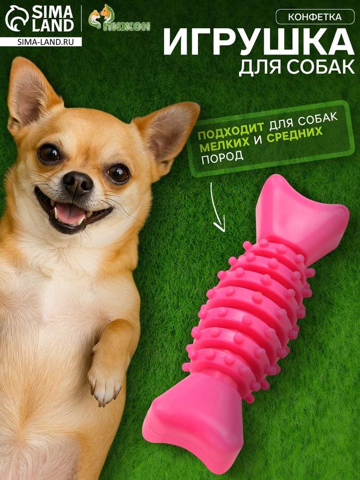 Жевательная игрушка для собак «Конфетка», 2 см, TPR, розовая