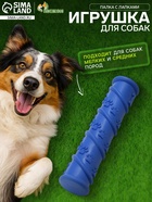 Жевательная игрушка для собак«Палка с лапками», 17.9×4.2 см, с утопленной пищалкой, TPR, синяя - Фото 1