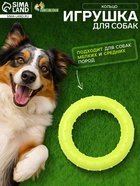Жевательная игрушка для собак «Кольцо», 8 см, суперпрочная, жёлтая - Фото 1