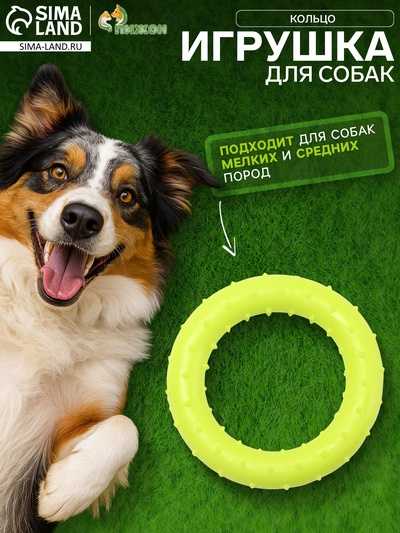 Жевательная игрушка для собак «Кольцо», 8 см, суперпрочная, жёлтая