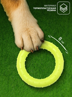 Игрушка жевательная суперпрочная «Кольцо», 8 см, жёлтая (комплект 2 шт)
