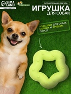 Жевательная игрушка для собак «Пленительная звезда», 7 см, TPR, жёлтая - Фото 1