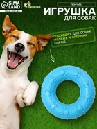 Жевательная игрушка для собак «Пончик», 7 см, голубая - Фото 1