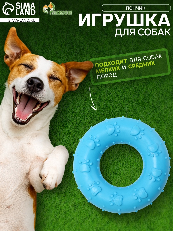 Жевательная игрушка для собак «Пончик», 7 см, голубая - Фото 1