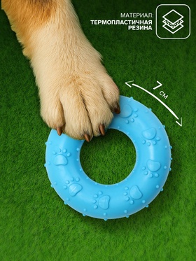 Игрушка жевательная «Пончик», 7 см, голубая (комплект 2 шт)