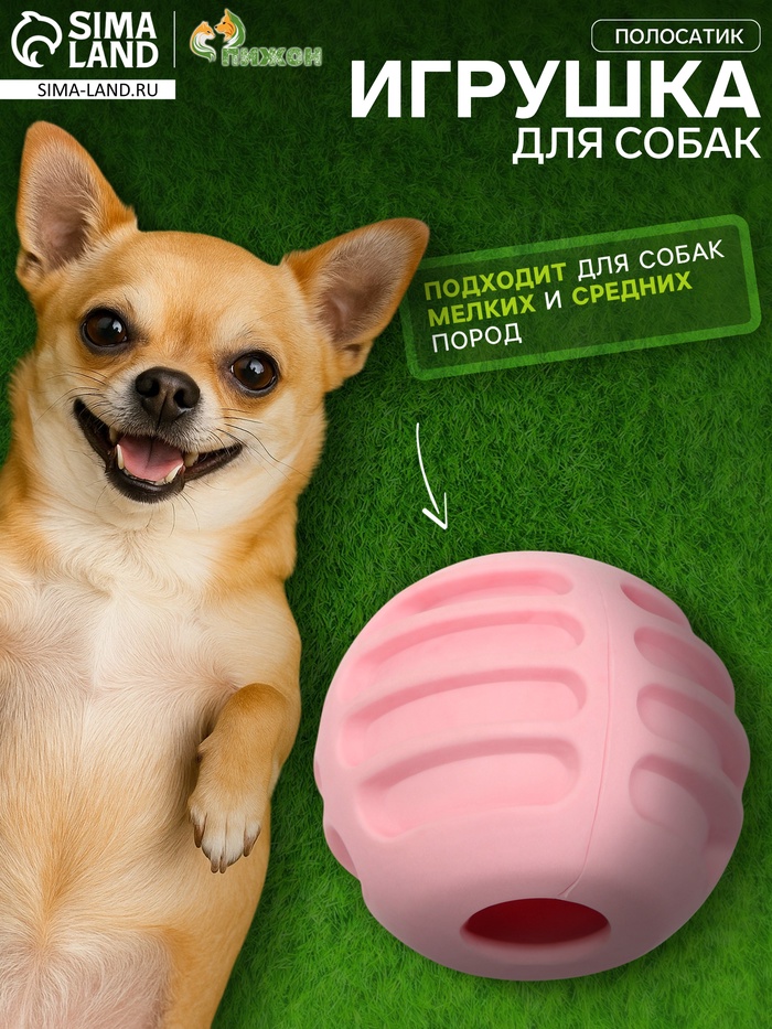 Мяч для собак «Полосатик», 6 см, рифлёный, TPR, розовый