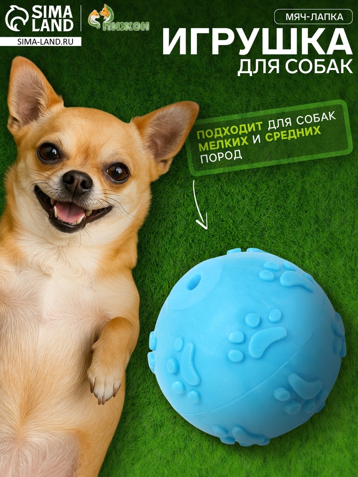 Игрушка для собак «Мяч-лапка», 6 см, TPR, синяя - Фото 1