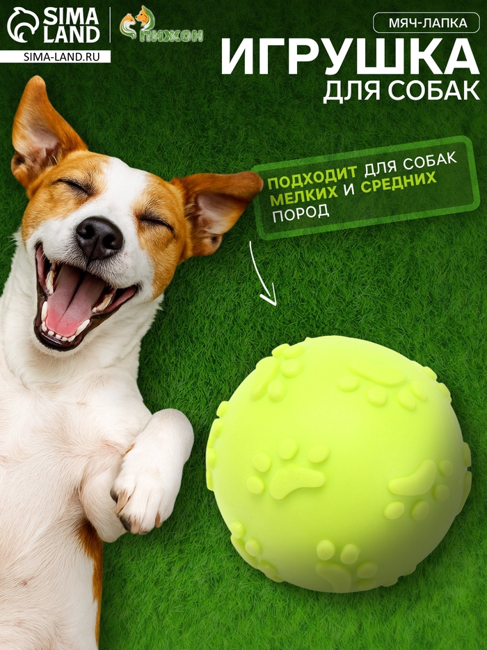 Игрушка для собак «Мяч-лапка», 6 см, TPR, жёлтая - Фото 1