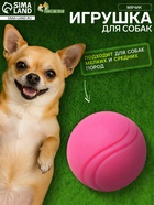 Мячик цельнолитой прыгучий, TPR, 6 см, розовый - Фото 1