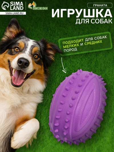 Жевательная игрушка для собак «Граната», 10 см, TPR, фиолетовая