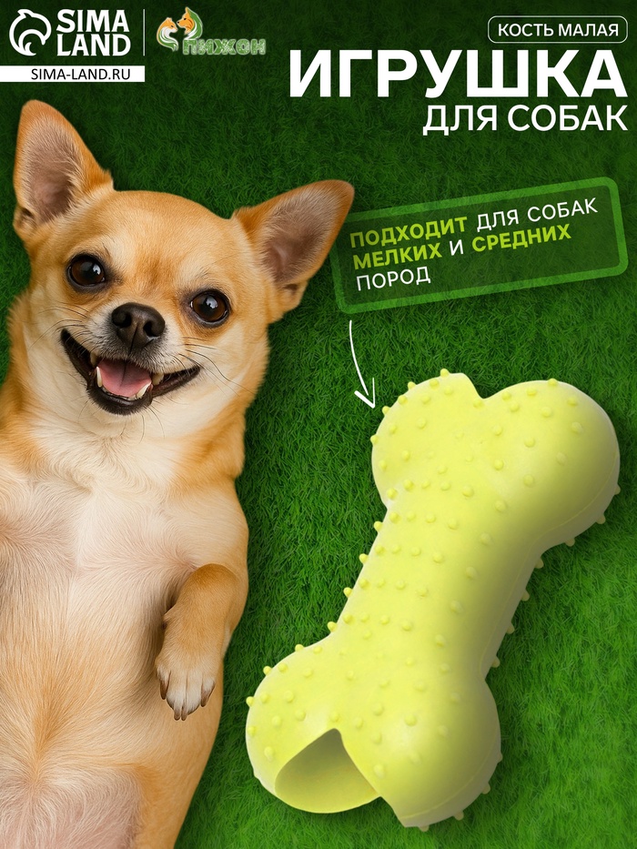 Жевательная игрушка для собак «Кость малая», 8.5 см, TPR, салатовая