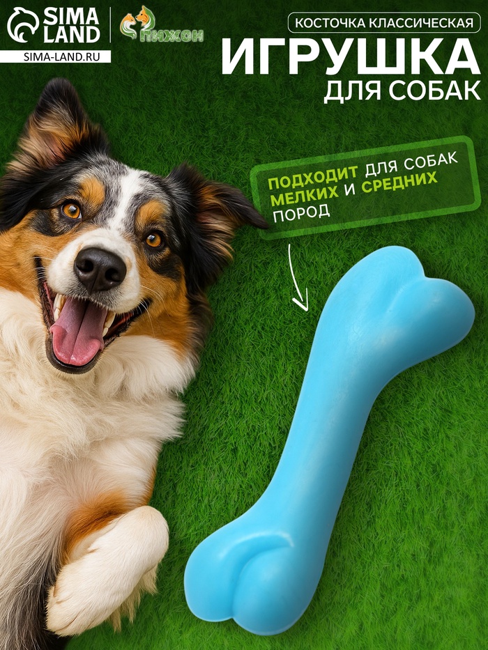 Жевательная игрушка для собак «Косточка классическая», 12.3 с, TPR, голубая - Фото 1