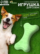 Жевательная игрушка для собак «Собачье удовольствие», 10.5 см, TPR, зелёная - Фото 1