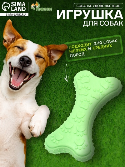 Жевательная игрушка для собак «Собачье удовольствие», 10.5 см, TPR, зелёная
