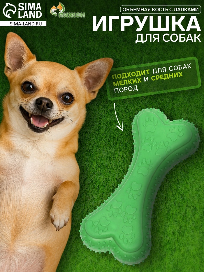 Жевательная игрушка для собак «Объемная кость с лапками», 12 с, TPR, зелёная