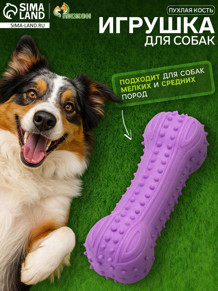 Жевательная игрушка для собак «Пухлая кость», 12.8 см, TPR, фиолетовая