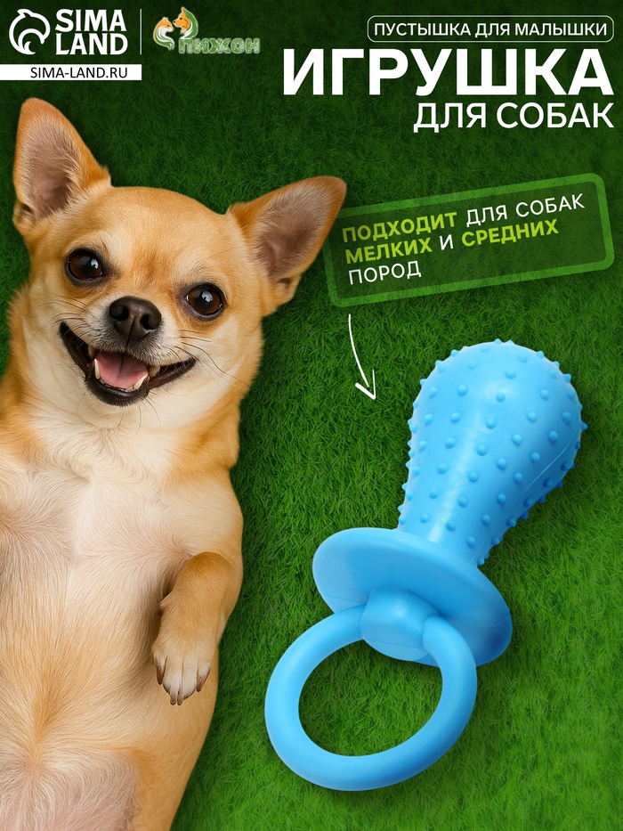 Игрушка жевательная «Пустышка для малышки», TPR, 14.5 см, голубая - Фото 1