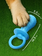 Игрушка жевательная «Пустышка для малышки», TPR, 14.5 см, голубая - Фото 2