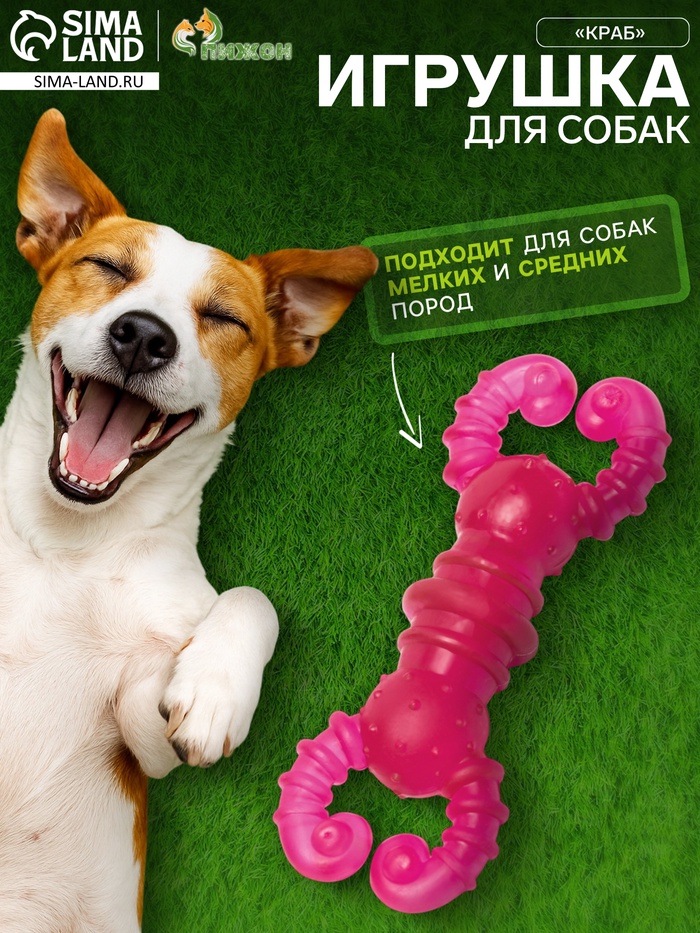 Жевательная игрушка для собак«Краб», прозрачная, 12 см, TPR, розовая