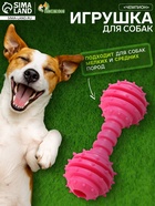 Жевательная игрушка для собак «Чемпион», 12.5 см, TPR, розовая - Фото 1