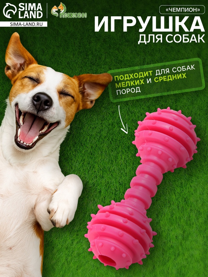 Жевательная игрушка для собак «Чемпион», 12.5 см, TPR, розовая - Фото 1