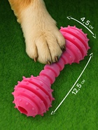 Жевательная игрушка для собак «Чемпион», 12.5 см, TPR, розовая - Фото 2