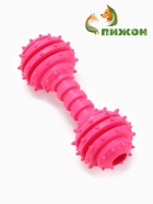 Жевательная игрушка для собак «Чемпион», 12.5 см, TPR, розовая - Фото 3