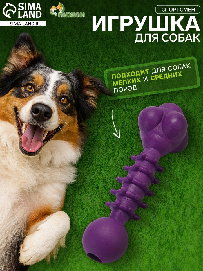 Жевательная игрушка для собак «Спортсмен», 15.5 см, TPR, фиолетовая - Фото 1
