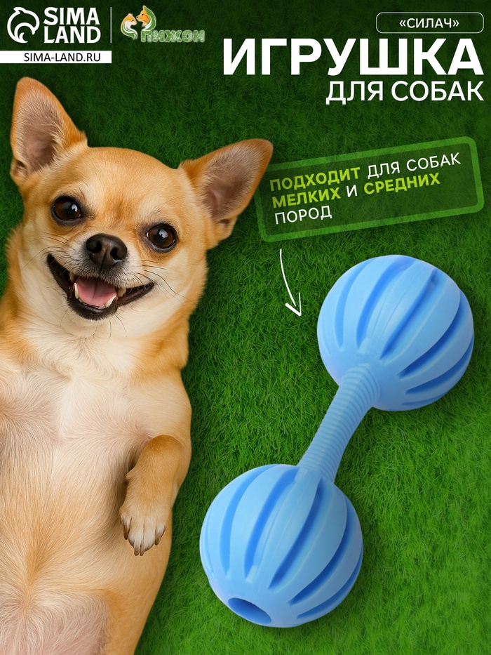 Жевательная игрушка для собак «Силач», 15 см, TPR, голубая - Фото 1