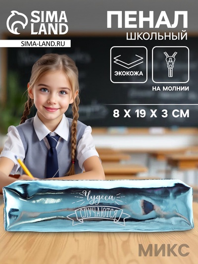 Пенал школьный Calligrata, на молнии, МИКС