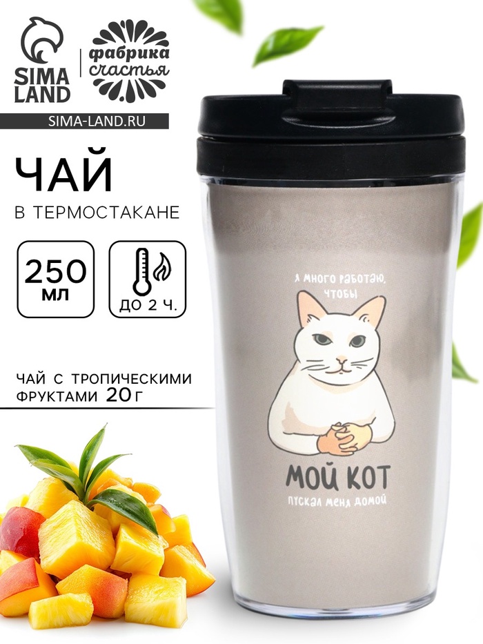 Чай подарочный в термостакане «Мой кот мем», вкус: тропические фрукты, 20 г - Фото 1
