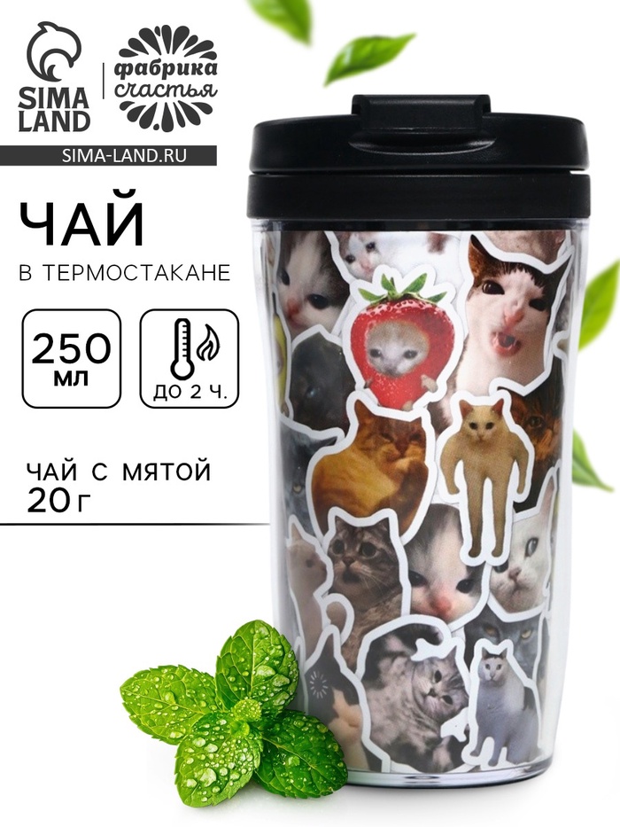 Чай подарочный в термостакане «Котики мемы», вкус: мята, 20 г - Фото 1