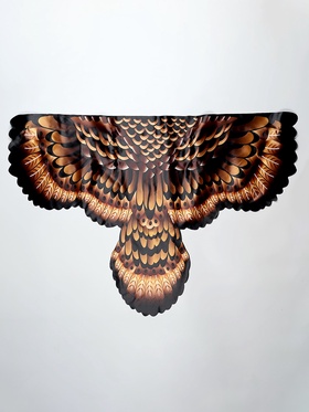 Карнавальный набор «Сова мудрости» крылья, маска