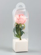 Коробка для мини-букетов и цветов, прозрачная с крафт-основанием, 28×8×8 см, белый - Фото 1