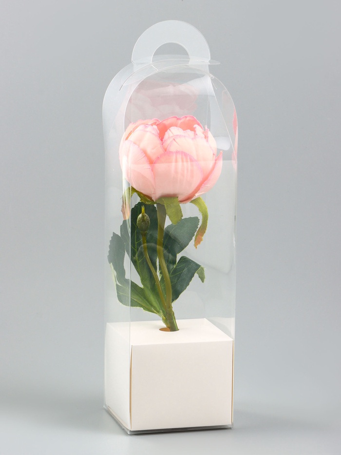 Коробка для мини-букетов и цветов, прозрачная с крафт-основанием, 28×8×8 см, белый - Фото 1