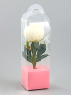 Коробка для мини-букетов и цветов, прозрачная с крафт-основанием, 28×8×8 см, розовый - Фото 1