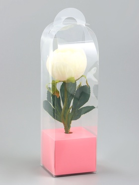 Коробка для мини-букетов и цветов, прозрачная с крафт-основанием, 28?8?8 см, розовый (комплект 5 шт)