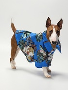 Рубашка для собак «Тропики», размер L, ДС 28, ОГ 36, ОШ 26 см, голубая - Фото 1