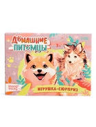 Игрушка - сюрприз «Домашние питомцы. Собаки» 10656936 - фото 2829565