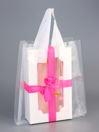 Пакет полиэтиленовый с боковой складкой и петлевой ручкой, прозрачный, 25×32+8 см ± 5% 60 мкм - Фото 1