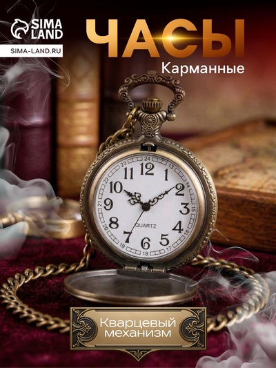 Часы карманные «Змея», кварцевые, длина цепочки 40 см, циферблат d=4.5 см, медные